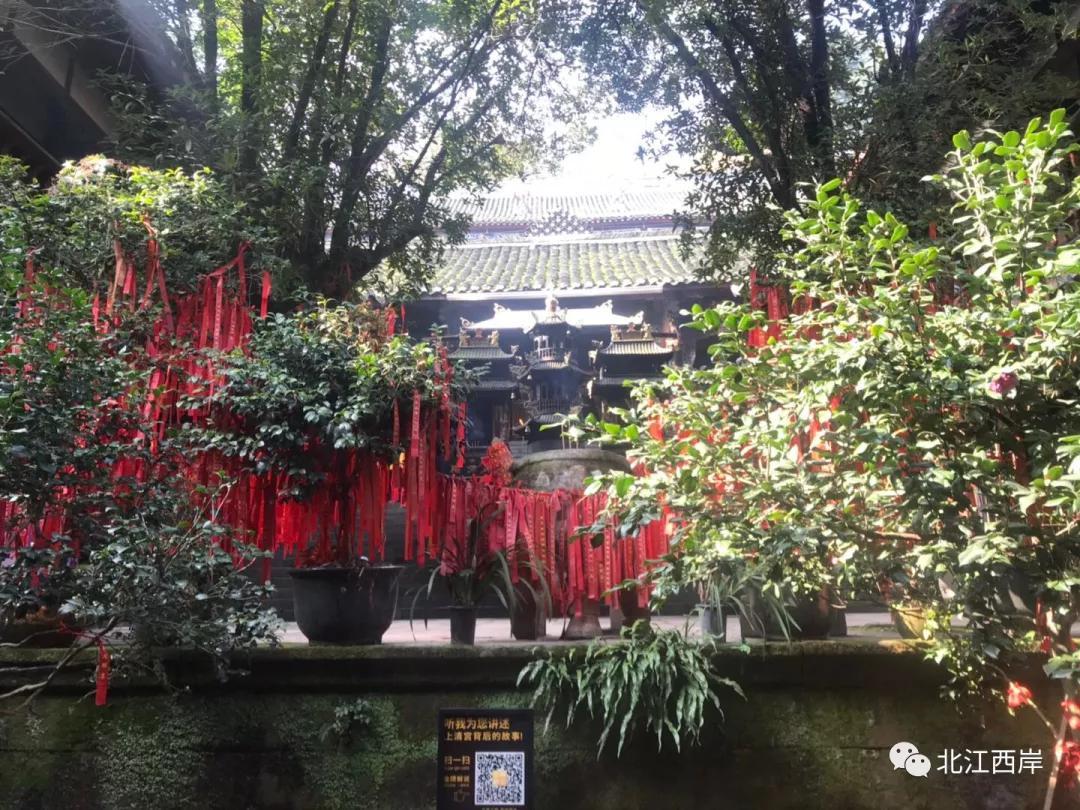 上山喝茶品牌简介_上山喝茶加盟_上山喝茶