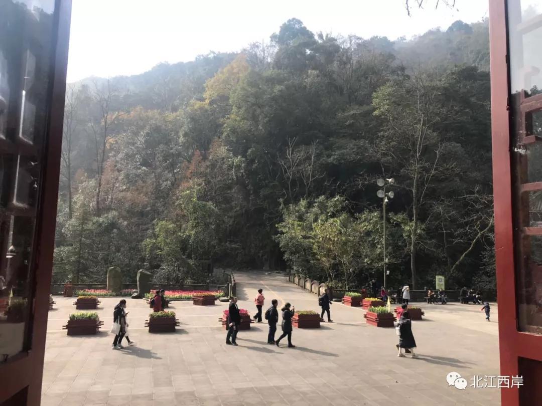 上山喝茶_上山喝茶品牌简介_上山喝茶加盟