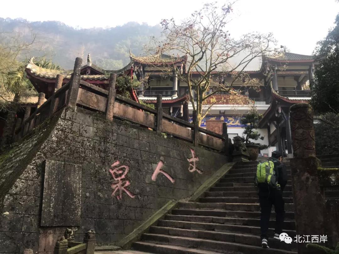 上山喝茶品牌简介_上山喝茶_上山喝茶加盟