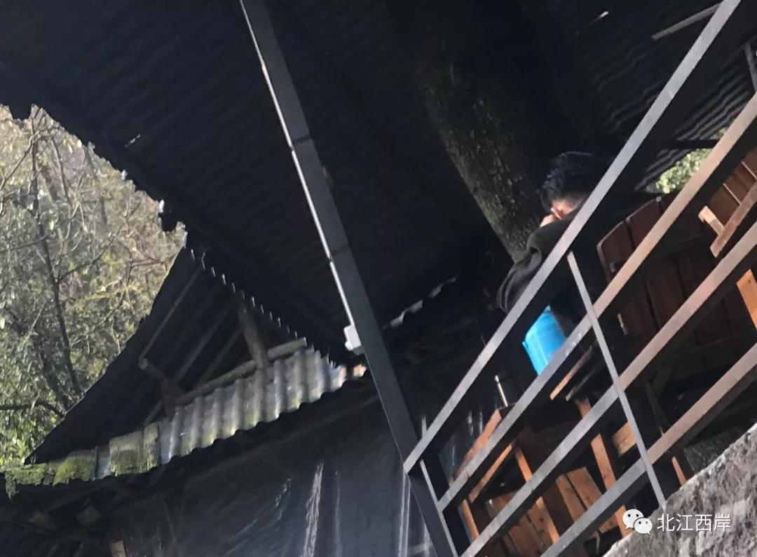 上山喝茶加盟_上山喝茶_上山喝茶品牌简介