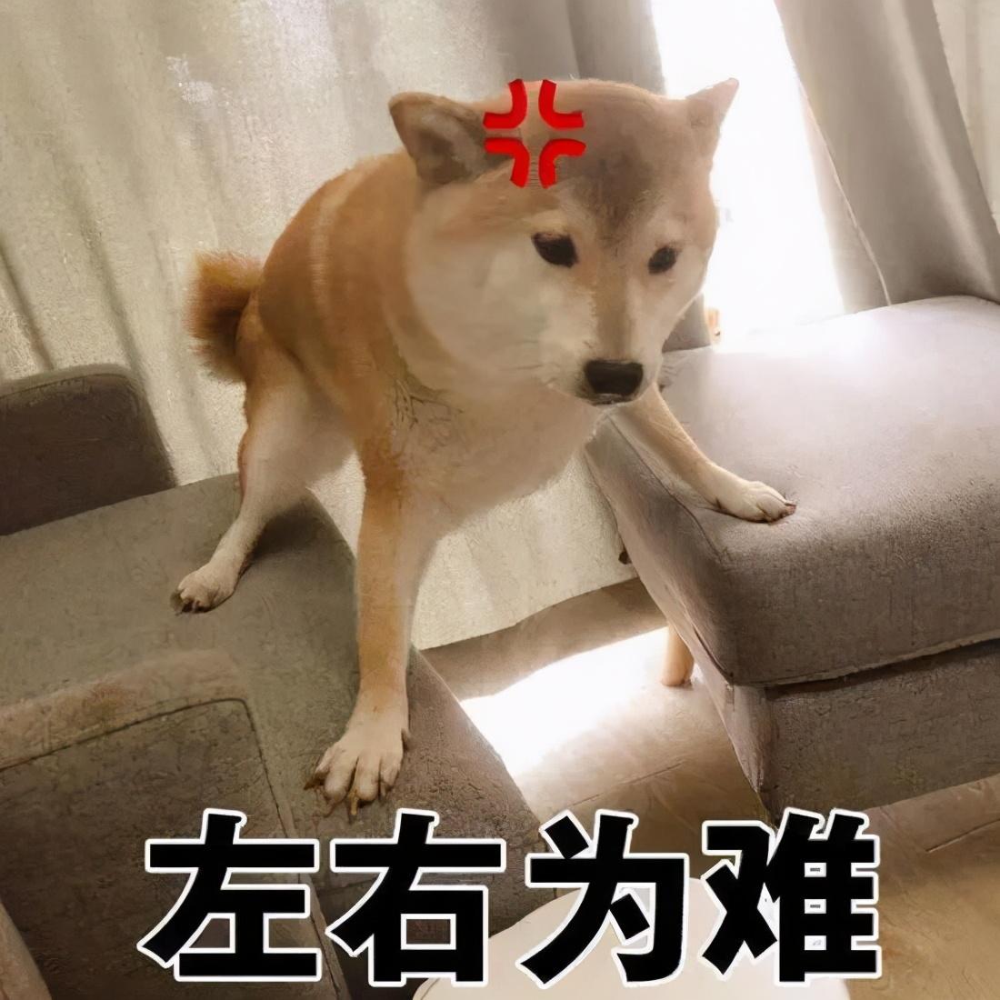 嘉奖是什么意思_嘉奖的意思是_嘉奖是什么荣誉
